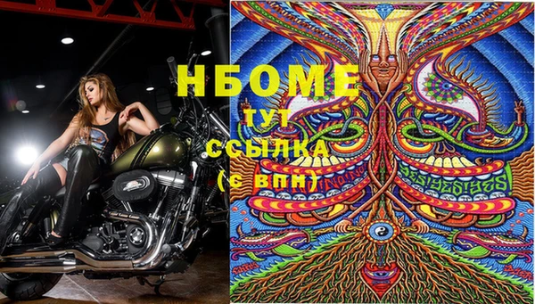таблы Новодвинск