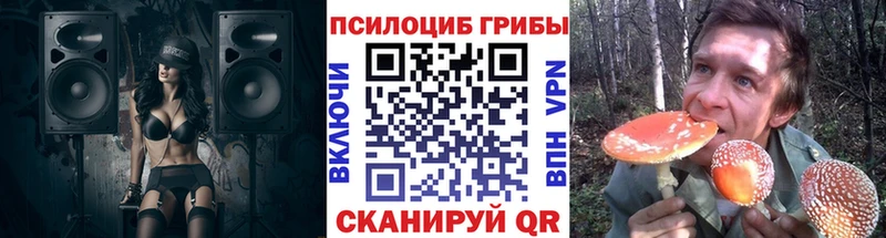 Псилоцибиновые грибы Cubensis  Протвино 